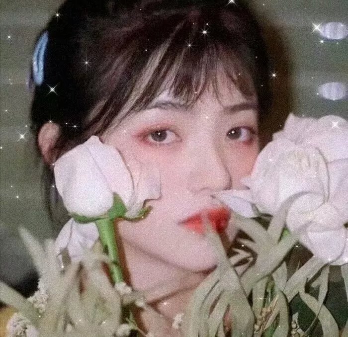 扬帆